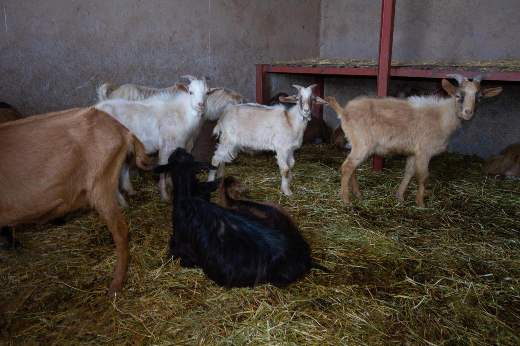 La Ferme De Lalladom Tameslouht Luaran gambar