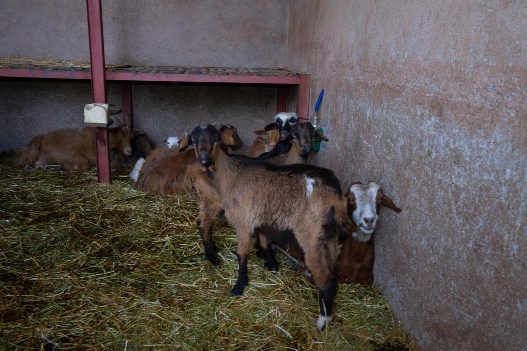 La Ferme De Lalladom Tameslouht Luaran gambar