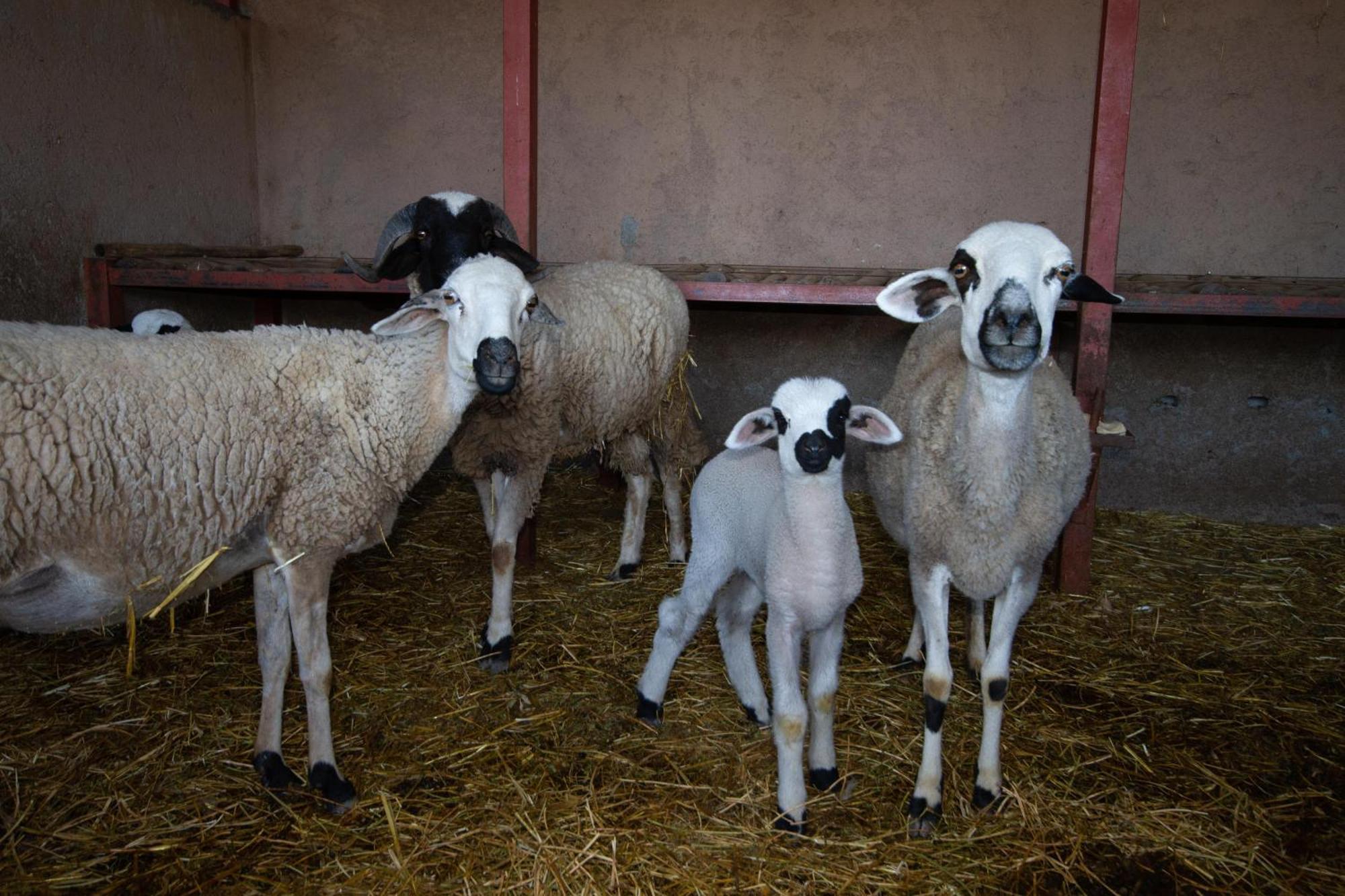 La Ferme De Lalladom Tameslouht Luaran gambar