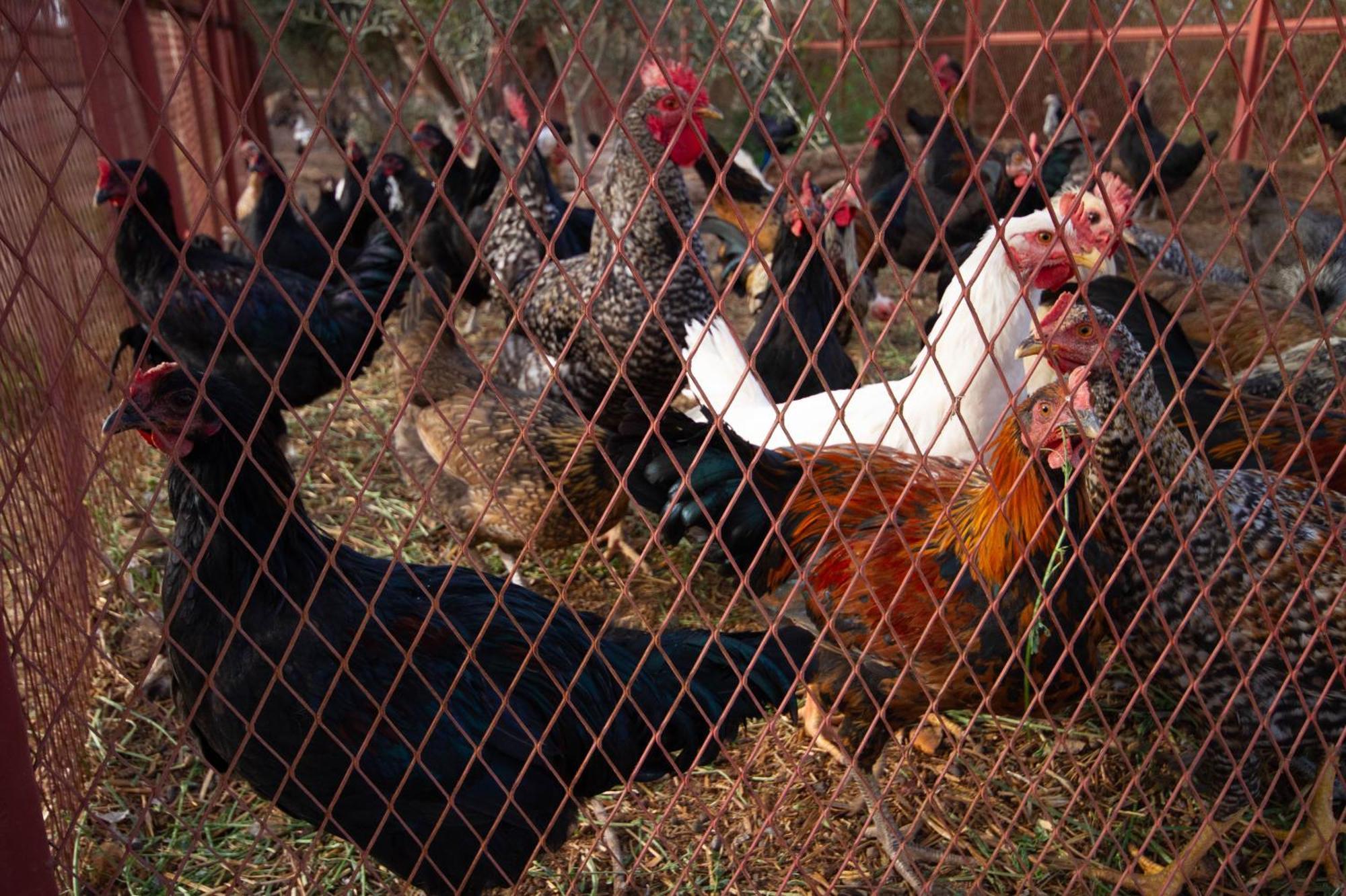La Ferme De Lalladom Tameslouht Luaran gambar