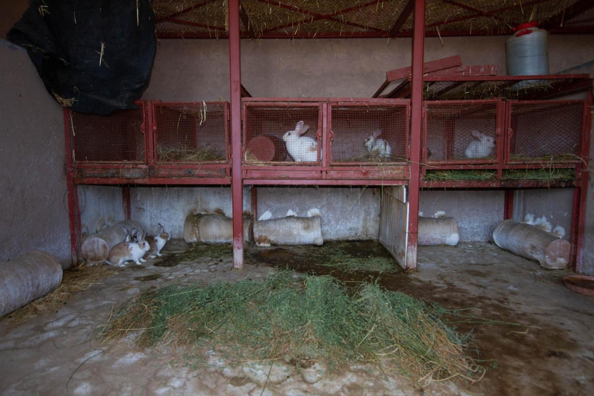 La Ferme De Lalladom Tameslouht Luaran gambar