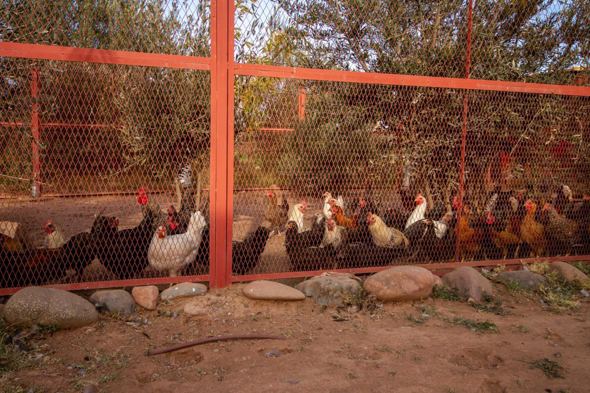 La Ferme De Lalladom Tameslouht Luaran gambar